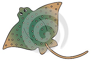 Skat. A marine cartilaginous fish with a long tail. Cramp-fish. Vector illustration. Isolated white background. Ocean dweller.