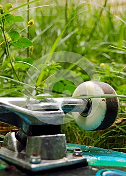 Skateboard wheel in the grass