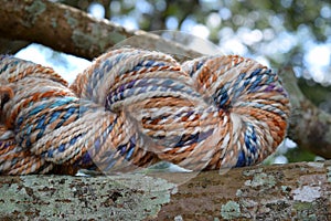 Skein of Hand Spun Yarn