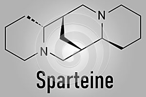 Skeletal formula of Sparteine scotch broom alkaloid molecule.