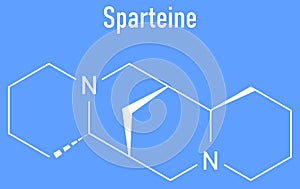 Skeletal formula of Sparteine scotch broom alkaloid molecule.