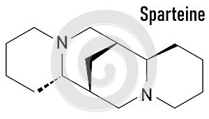 Skeletal formula of Sparteine scotch broom alkaloid molecule.
