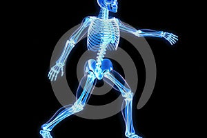 Skeletal Insight: X-ray Reveals the Intricate Structure of the Human Skeleton