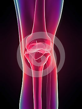 Skeletal knee photo