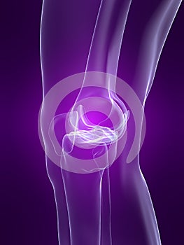 Skeletal knee
