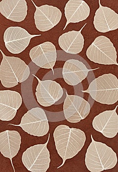 Skeletal leaves over brown handmade paper