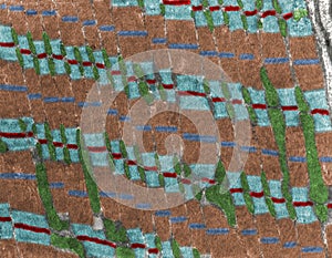 Skeletal muscle fiber. Myofibrils