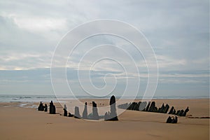 Skeletal Remains of a Shipwreck at Rattray Head