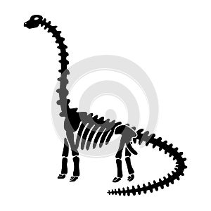 Vector dinosaur skeleton diplodocus.
