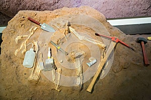 Skeleton and archaeological tools around.