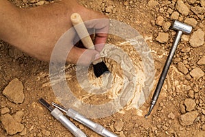 Skeleton and archaeological tools.Training for dig fossil.Simula