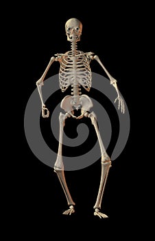 Skeleton on black background