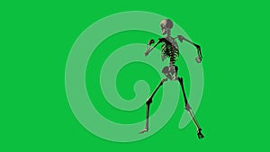 Skeleton boxing - separate on green screen
