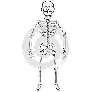 Skeleton Buddy