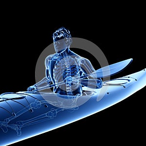 The skeleton of a canoeist