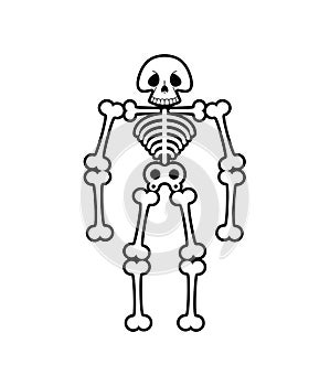 Skeleton cartoon isolated. Skull funny head. Vector illustration