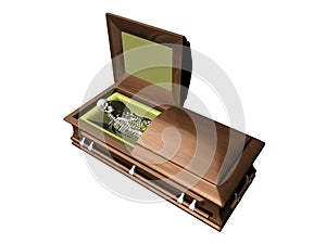 Skeleton in casket on white background