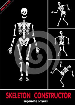 Skeleton constructor. Vector