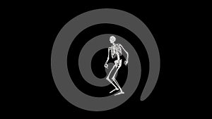 Skeleton dancing - Halloween concept