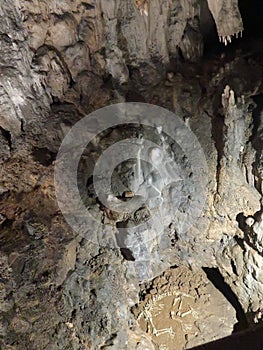 Skeleton Display of Cave Bear in Barac Cave, Croatia