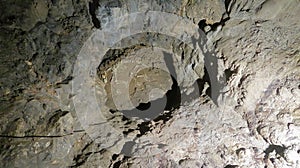 Skeleton Display of Cave Bear in Barac Cave, Croatia