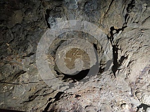 Skeleton Display of Cave Bear in Barac Cave, Croatia