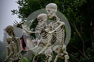 Skeleton family in street on Halloween.