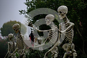 Skeleton family in street on Halloween.