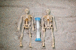 skeleton figures and hourglass