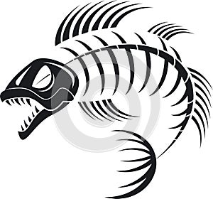 Skeleton fish photo