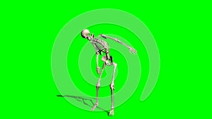 Skeleton goes crippled forward 1 - green screen