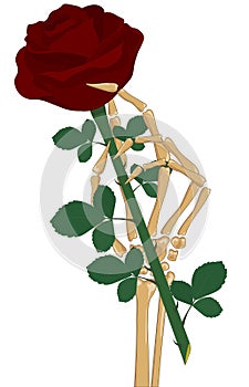 Skeleton hand holding red rose flower vector illustration