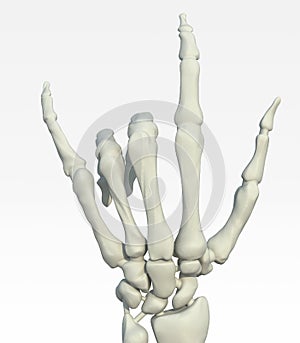 Skeleton hand making offensive gesture