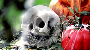 Skeleton head with halloween pumpkins