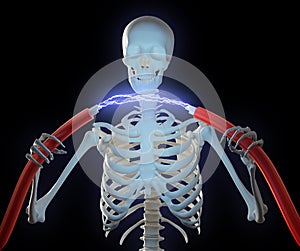 Skeleton holding high voltage cables