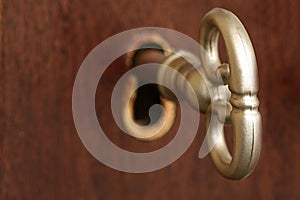 Skeleton Key in Keyhole