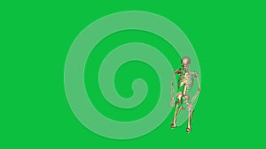 Skeleton kneel and german salute - separate on green screen