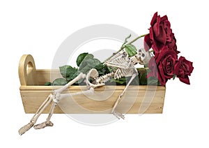 Skeleton Laying in a Wooden Box with Roses