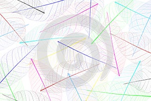 Skeleton leaf abstract background