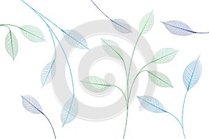 Skeleton leaf abstract background