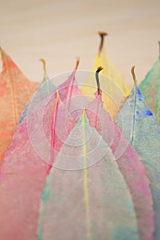 Skeleton Leaf abstract background