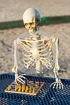 Skeleton playing chess