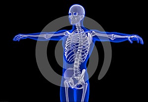 Skeleton of the man. Contains clipping path