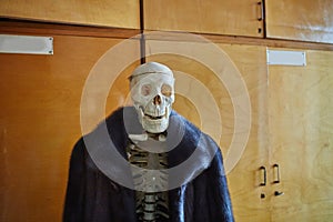 Skeleton of a man in a fur coat made of natural animal fur. Concept of Halloween, environmental protection