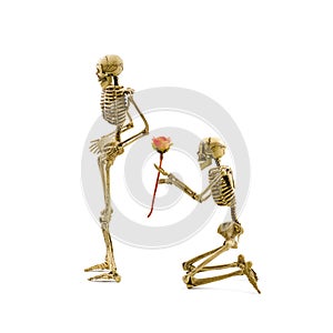 Skeleton model kneel proposal to girlfriend giving rose.