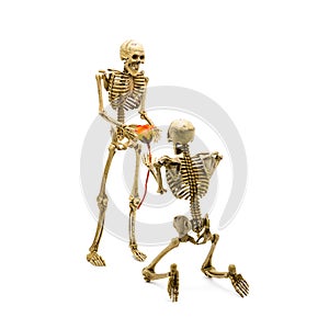 Skeleton model kneel proposal to girlfriend giving rose.