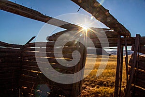 Skeleton of old Wyoming Homestead