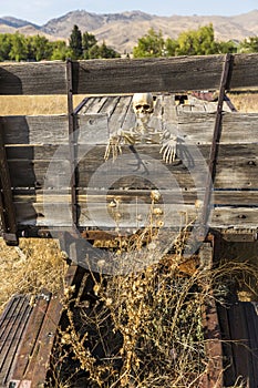 Skeleton peeking through an old truck bed suspiciously keeping an eye on things