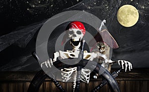 Skeleton Pirate and Cat