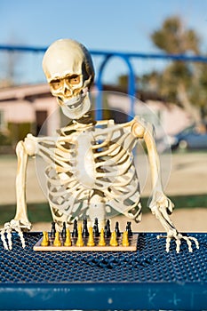 Skeleton playing chess in a park